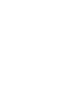 TV 2 logo